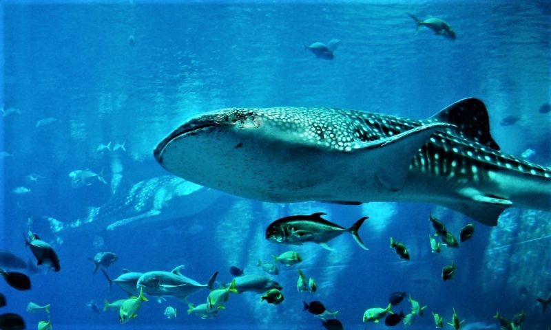 Eum aut voluptas et et error eos.
